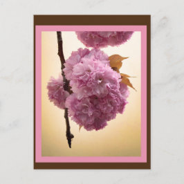 Postkort för Vår Blommar Vykort