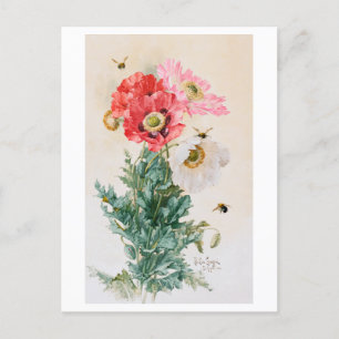 Postkort för Vintage för poppies och bin Vykort