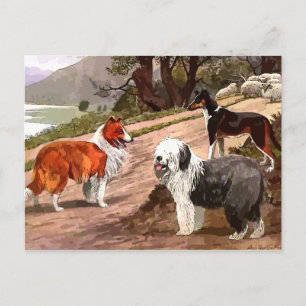 Postkort för vintage målade collies vykort