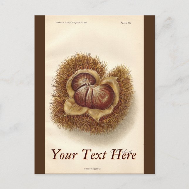 Postkort för vintage vykort (Framsida)