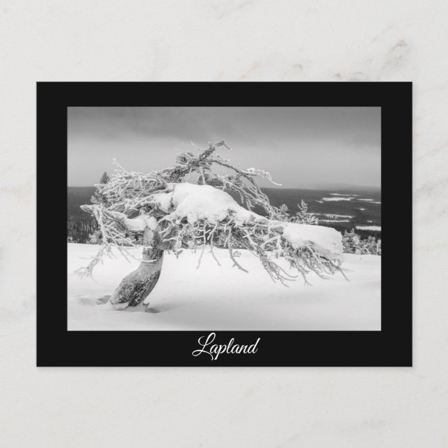 Postkort för vintersouvenir vykort (Framsida)