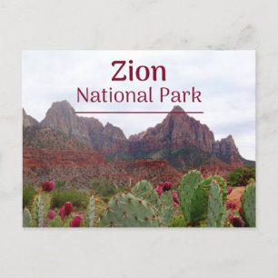 Postkort för Zion National Park Bloom Vykort