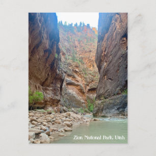 Postkort för Zion National Park Vykort