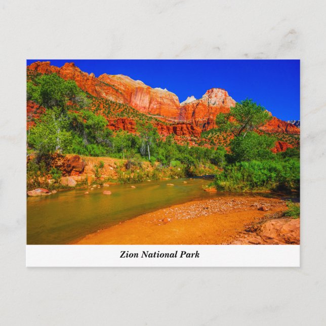 Postkort för Zion National Park Vykort (Framsida)