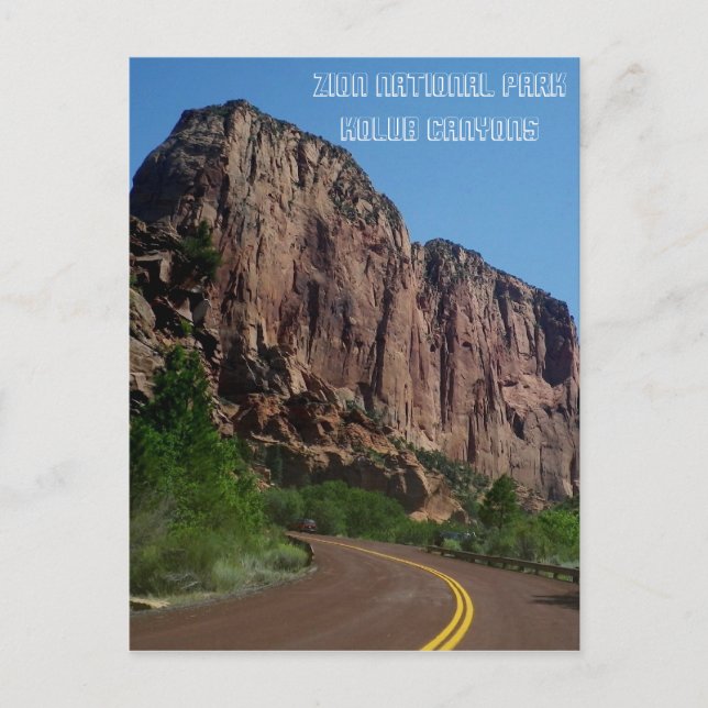 Postkort för Zion National Park Vykort (Framsida)
