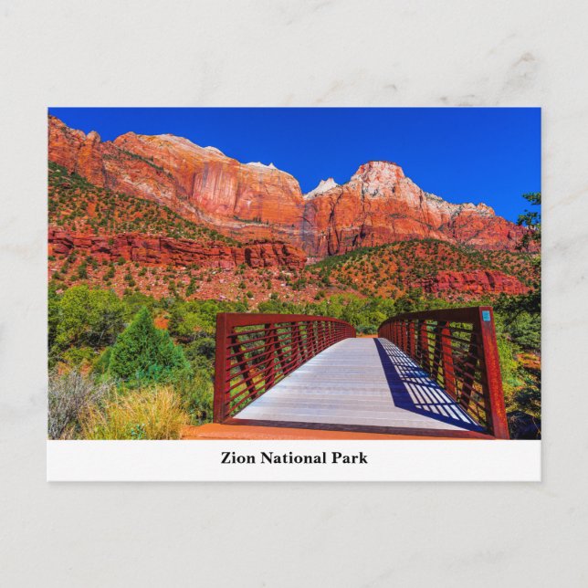 Postkort för Zion National Park Vykort (Framsida)