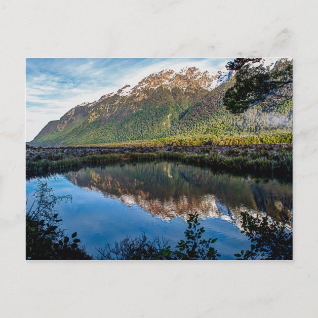 Postkort från Nya Zeeland Vykort (Framsida)