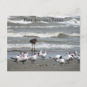 Postkort från Texas Kusten! Vykort