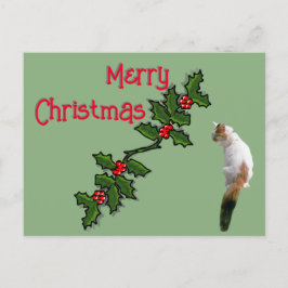 Postkort - God jul Holly och Calico Cat Vykort