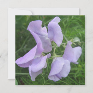 Postkort Inbjudningar