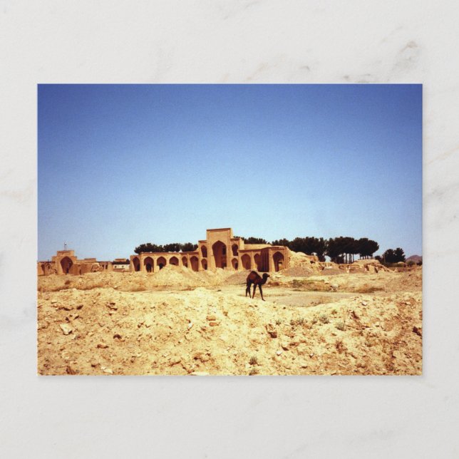 Postkort Kameler på den antika Sidenvägen Khorasan Vykort (Framsida)