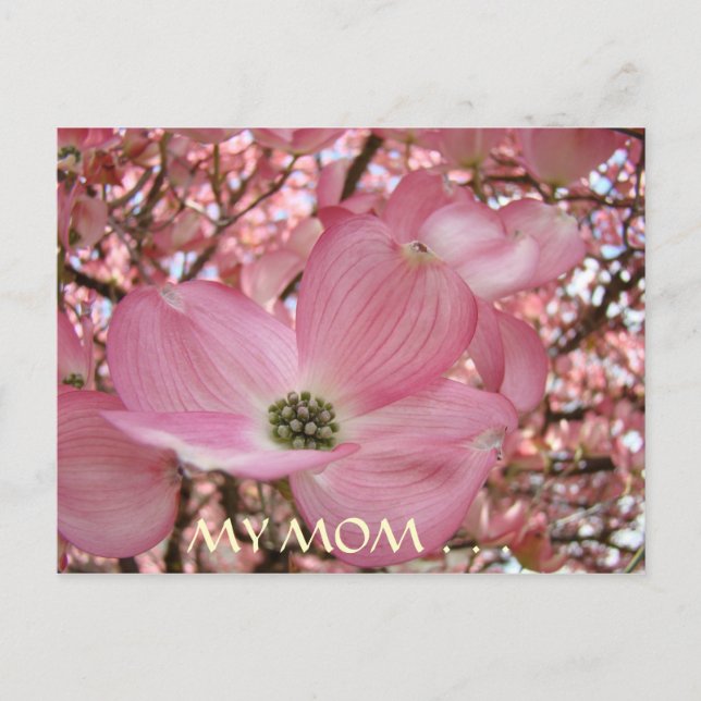 POSTKORT Mina Mamma sötaste livets DOGWOOD-BLOMMAR Vykort (Framsida)