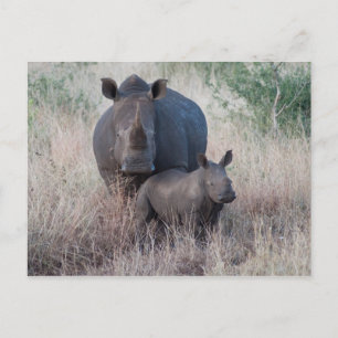 Postkort mor Kärlek - Rhino Stil Vykort