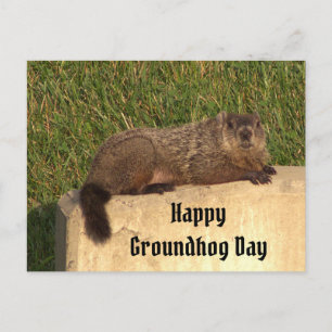 Postkort på Groundhog Day Vykort