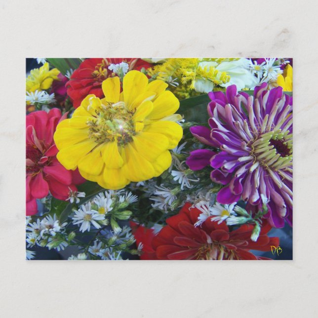 Postkort på jordbrukarnas marknad vykort (Framsida)