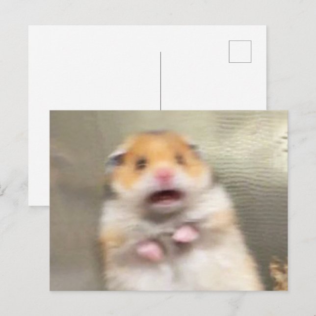 Postkort Rädd Hamster Meme Vykort (Fram/baksida)