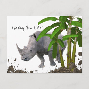 Postkort Rhinoceros Saknar dig. Vykort