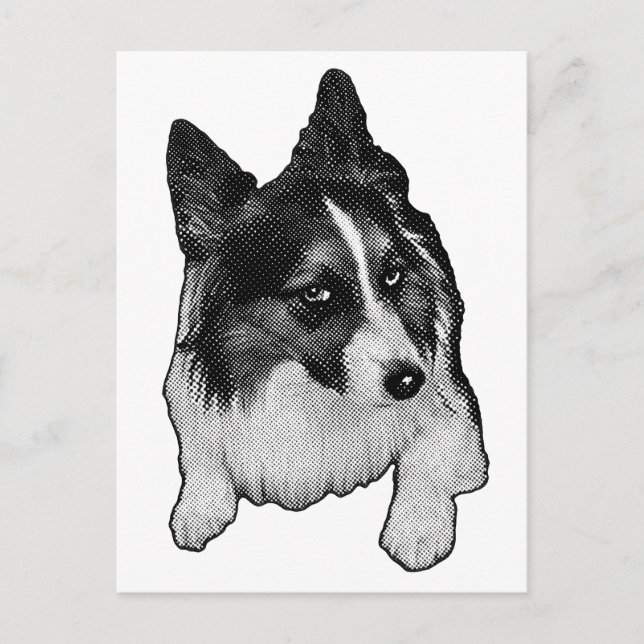 Postkort snö-Väg Vykort (Framsida)