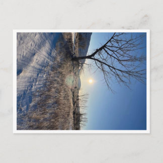 Postkort, Storlekt: Standardvykort, Pappert: Matt, Vykort