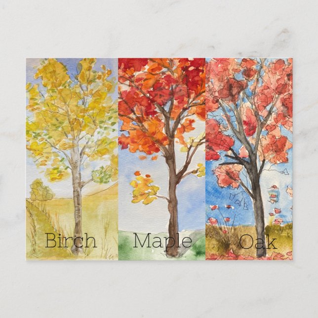 Postkort, Storlekt: Standardvykort, Pappert: proje Vykort (Framsida)