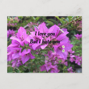 Postkort, Storlekt: Standardvykort, Pappert: Semi- Vykort