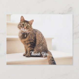 Postkort, Storlekt: Standardvykort, Pappert: Semi- Vykort