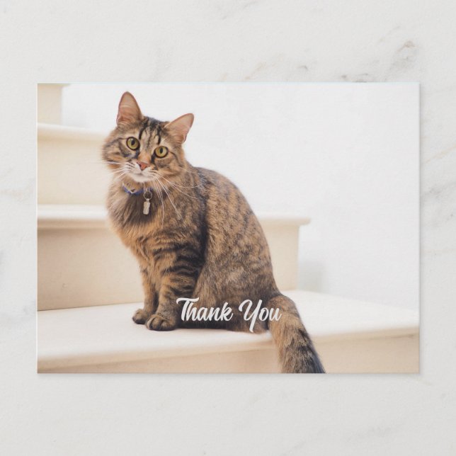 Postkort, Storlekt: Standardvykort, Pappert: Semi- Vykort (Framsida)