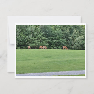 Postkort, Storlekt: Standardvykort, Pappert: Under Vykort