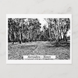 Postkort, Storlekt: Standardvykort. Vykort