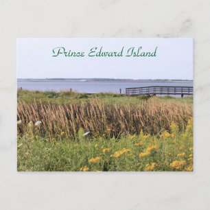 Postkortsbro, vilda blommor, hav, prins Edward Vykort