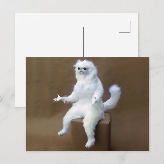 Postkortsrumsskyddarnummer Vykort (Fram/baksida)