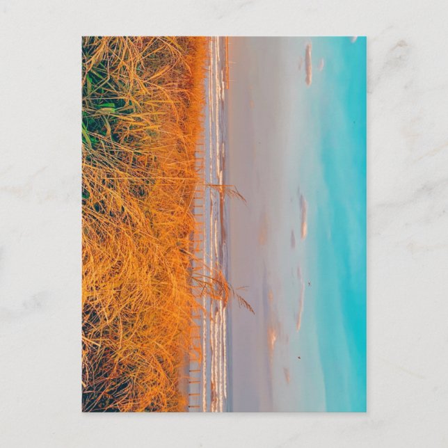 Postkortsstrand Vykort (Framsida)