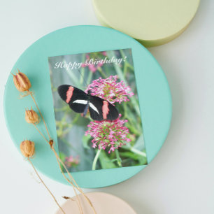 Postman Butterfly på Rosa Flowers födelsedagskort Kort