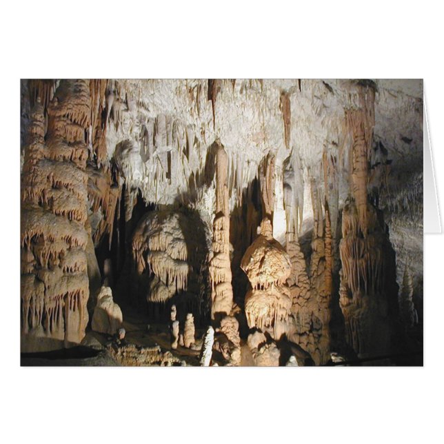 Postojna Caves Hälsningskort (Framsidan Horizontal)