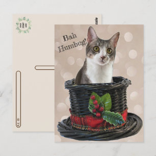 Postpass - Bah Humbag Tito the Cat Postcard Vykort