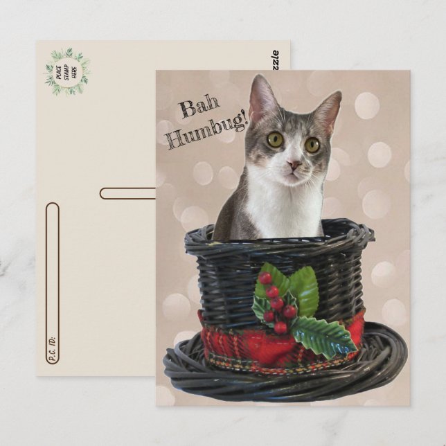 Postpass - Bah Humbag Tito the Cat Postcard Vykort (Fram/baksida)