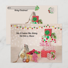 Postpass - Cute Råtta dekorerar för jul Vykort