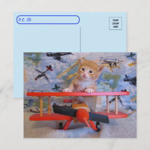 Postpass = Dolce the Cat's Airplan Postcard Vykort