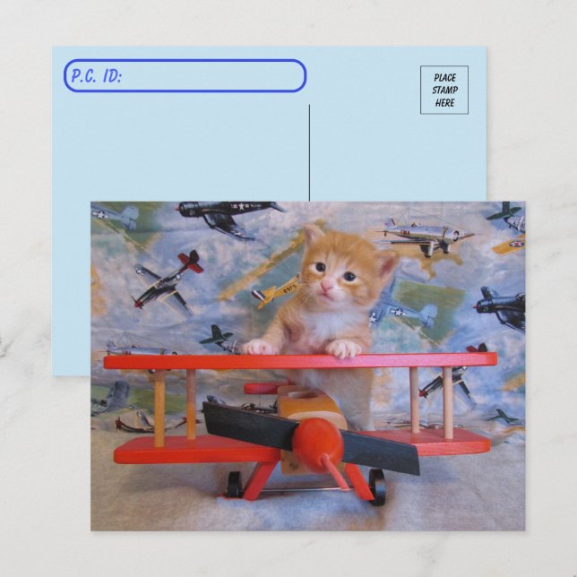 Postpass = Dolce the Cat's Airplan Postcard Vykort (Fram/baksida)