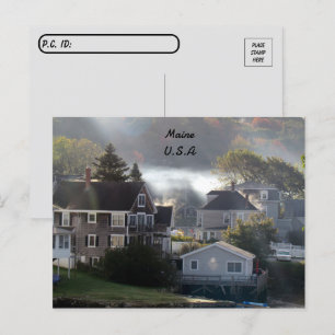 Postpass - Foggy Maine Morgonvykort Vykort