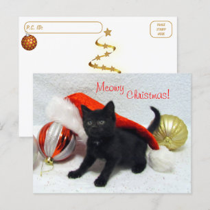 Postpass - Joons jul - Katt/Kitten Vykort