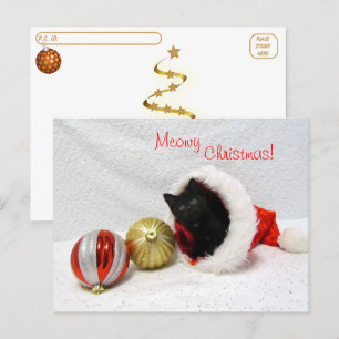 Postpass - Joons jul - Katt/Kitten Vykort