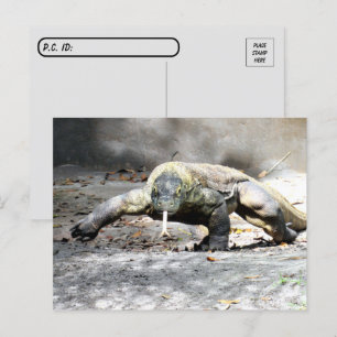 Postpass - Komodo Dragon kommer för dig Vykort