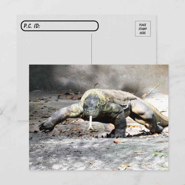 Postpass - Komodo Dragon kommer för dig Vykort (Fram/baksida)