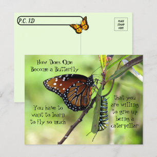Postpass - Monarch Butterfly & Catercolumn Vykort
