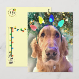 Postpass - Nova Golden Retriever jul Vykort