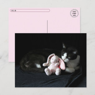 Postpass över lite Kärlek Me - katt vykort