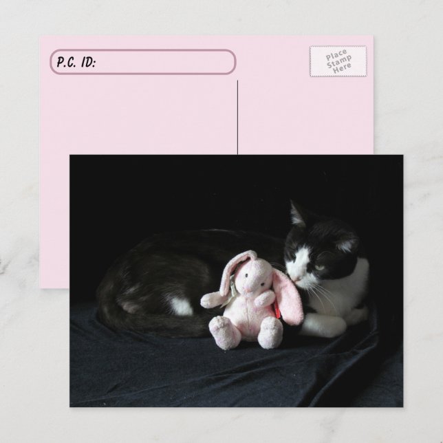 Postpass över lite Kärlek Me - katt vykort (Fram/baksida)