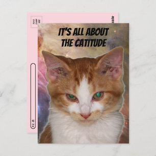 Postpass över Rebas platsens vykort