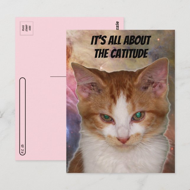 Postpass över Rebas platsens vykort (Fram/baksida)